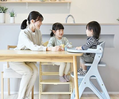 Affel Sorbet High Chair (with Safety Belt YC-05)