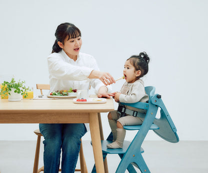 Sukusuku GL High Chair (with Safety Belt YC-05)