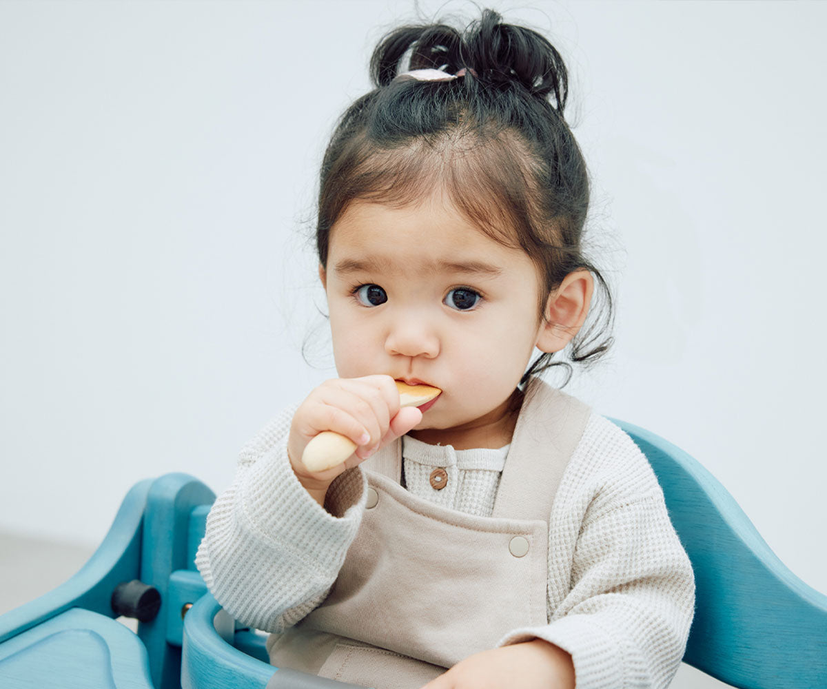 Sukusuku GL High Chair (with Safety Belt YC-05)