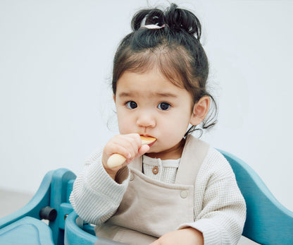 Sukusuku GL High Chair (with Safety Belt YC-05)